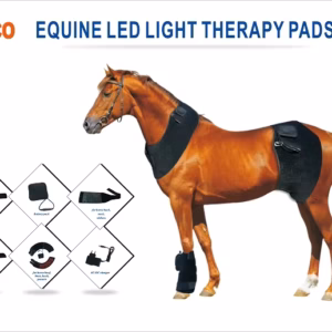 Set of Red Light Infrared Therapy Pad Wrap for Horses and Pets Veterinary Equipment for Horse and Dog Care
