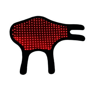 Dog light therapy pad red and infrared light for dog healthcare